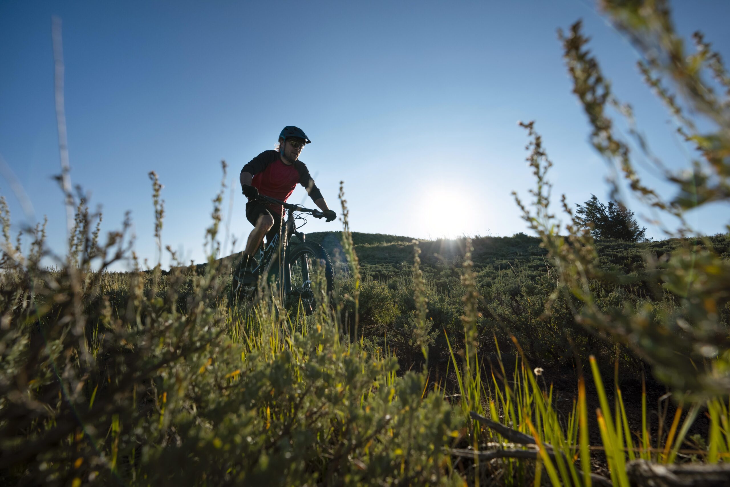 Balade en VTT
