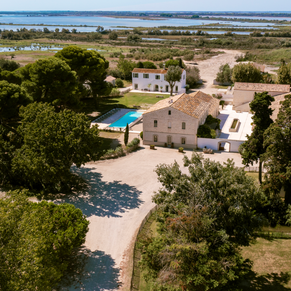 Lieux de séminaire & partenaires en Camargue : le sauvage